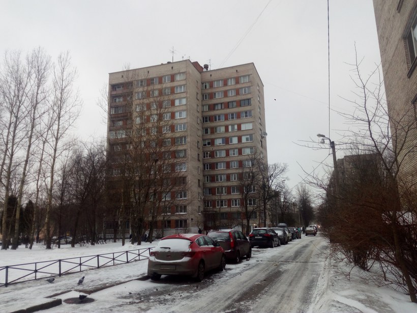 Бухарестская ул 94к6