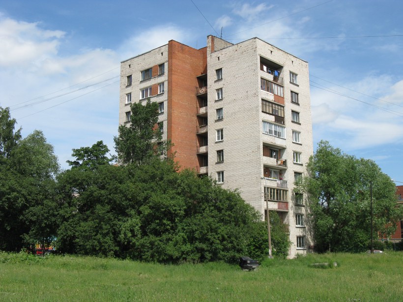 Бухарестская ул. 57