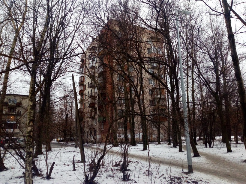 Бухарестская ул. 35к6