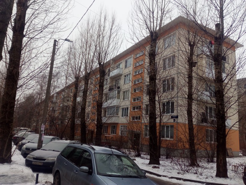 Бухарестская ул 94к3