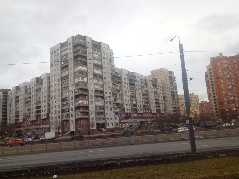 Бухарестская ул. 116к1